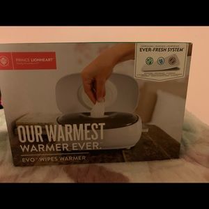 Wipe warmer